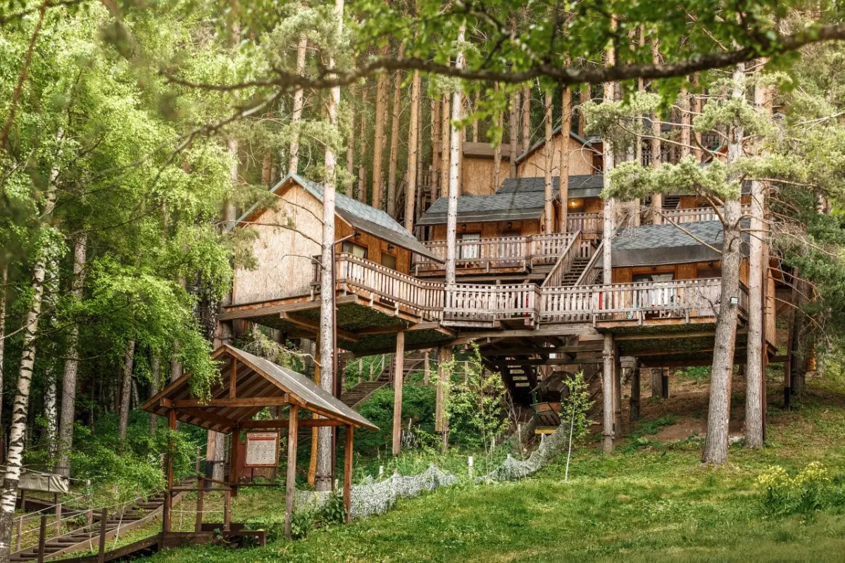 Oi-Qaragai mountain resort in a pine forest